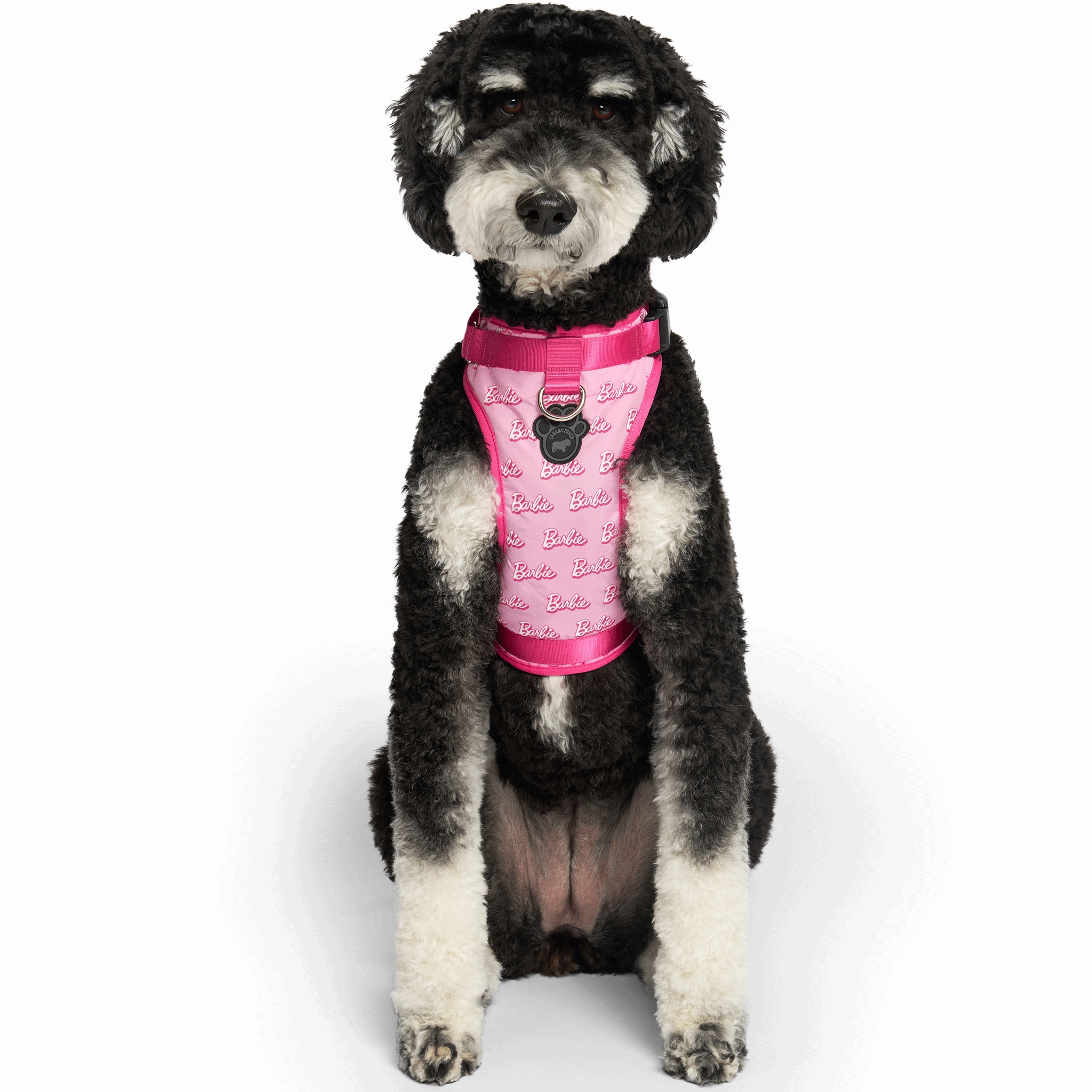 Barbie™ Everything Harness - Logo Print