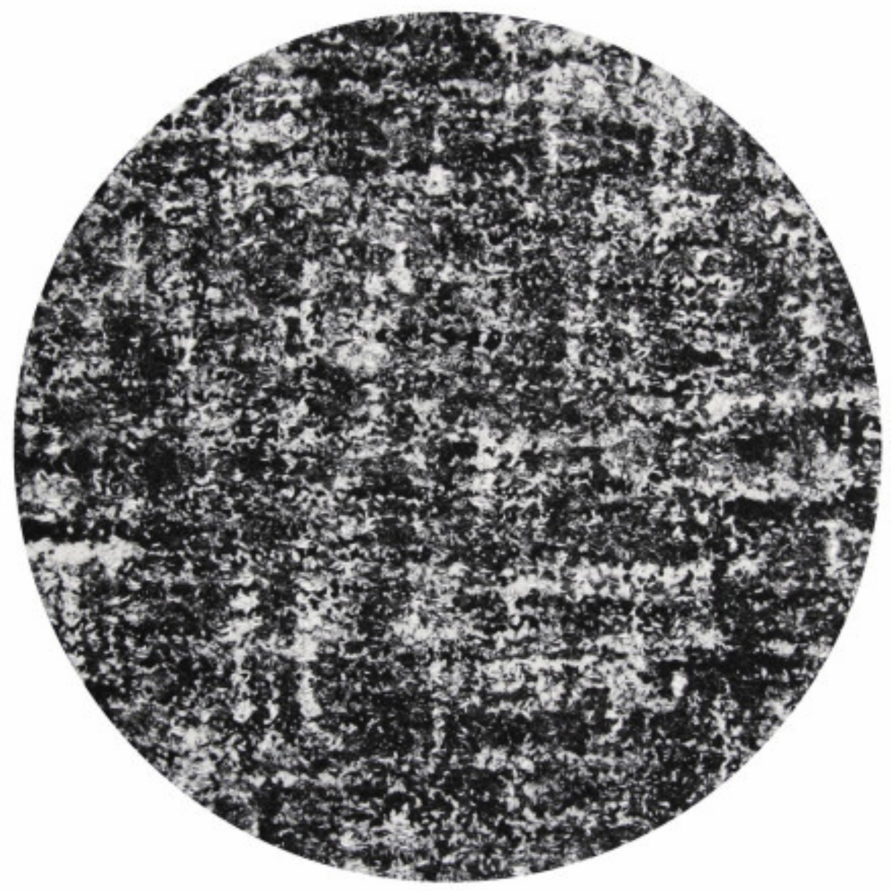 Dakota Rug - Phantom 250cm Round