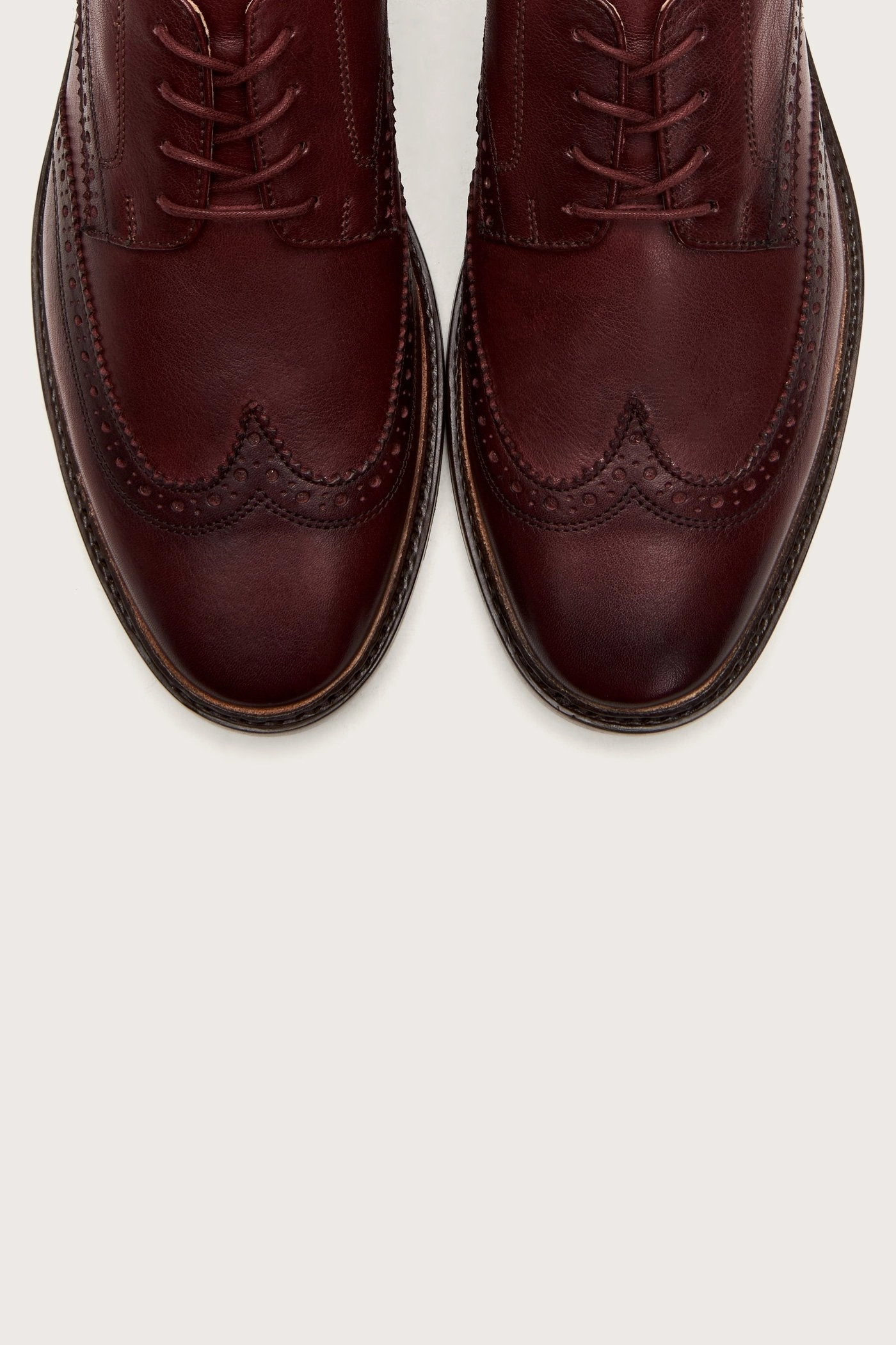 Paul Wingtip - Pre-Loved
