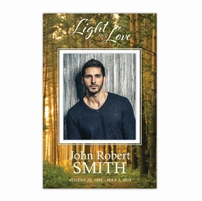 Serene Forest Folder